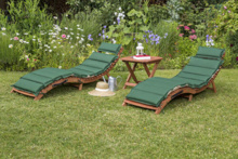 Комплект шезлонгов из термодерева AFM-803A-T133 Beige-Green с двусторонними матрасами